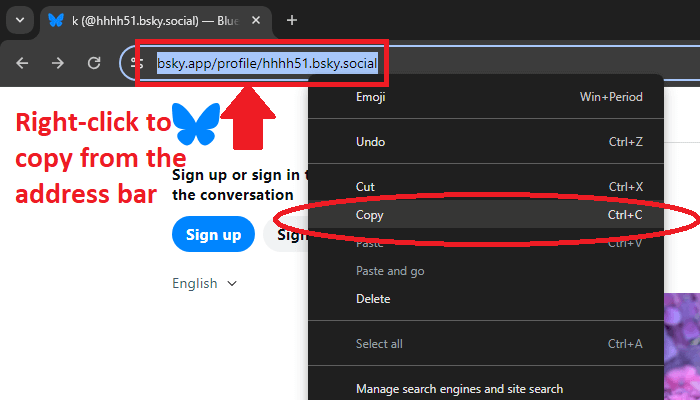 Copy Bluesky URL from the address bar
