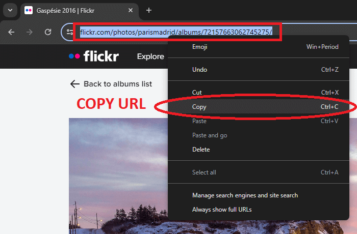 Copy Flickr page's URL