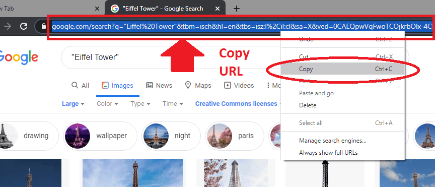 Copy google search image URL