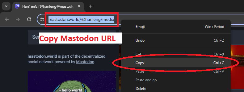 Copy Mastodon URL from browser address bar