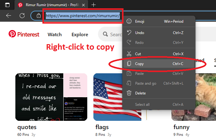 Copy link to the Pinterest page from the address bar