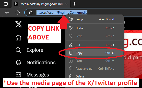 copy x/twitter page link from browser address bar